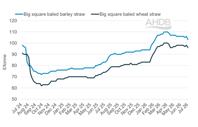 A line graph showing GB big bale straw weekly prices 5 July 2026.